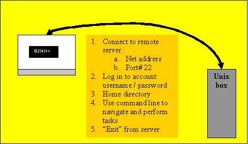 Remote terminal session