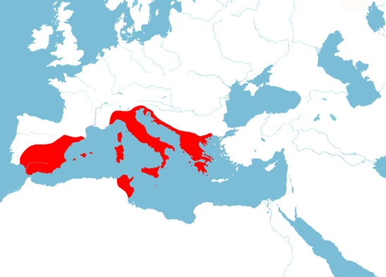 Roman Empire 146BC Carthage Greece