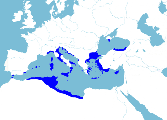 Stunning Image of Roman Empire in 623 